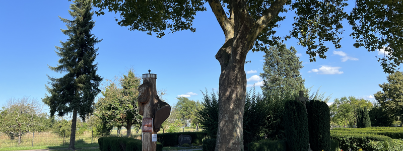 Friedhof Illingen