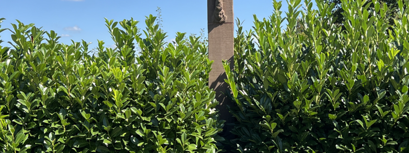 Wegkreuz Lauterburger Weg
